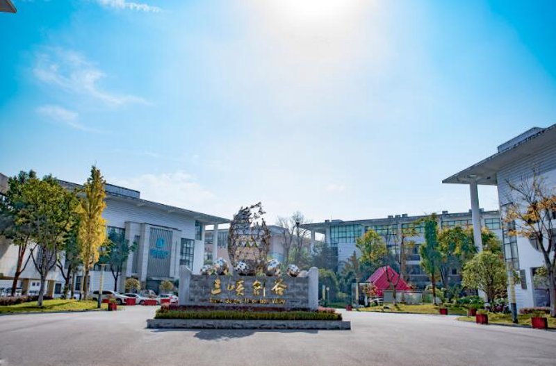 宜都市软件开发：推动产业升级的新引擎